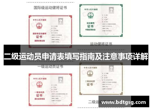 二级运动员申请表填写指南及注意事项详解
